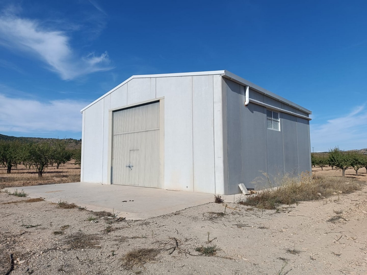 Terrace in land for sale in Yecla