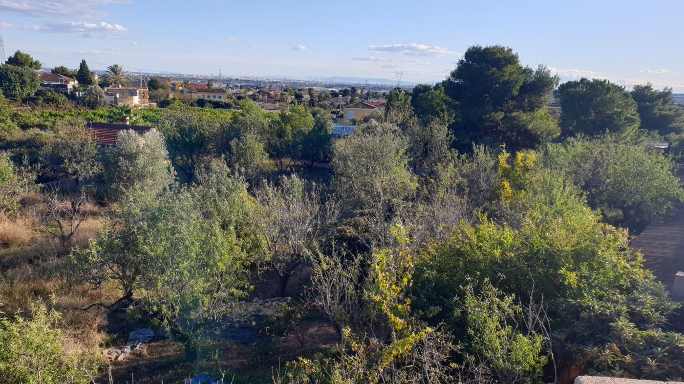 Garden in land for sale in Naquera
