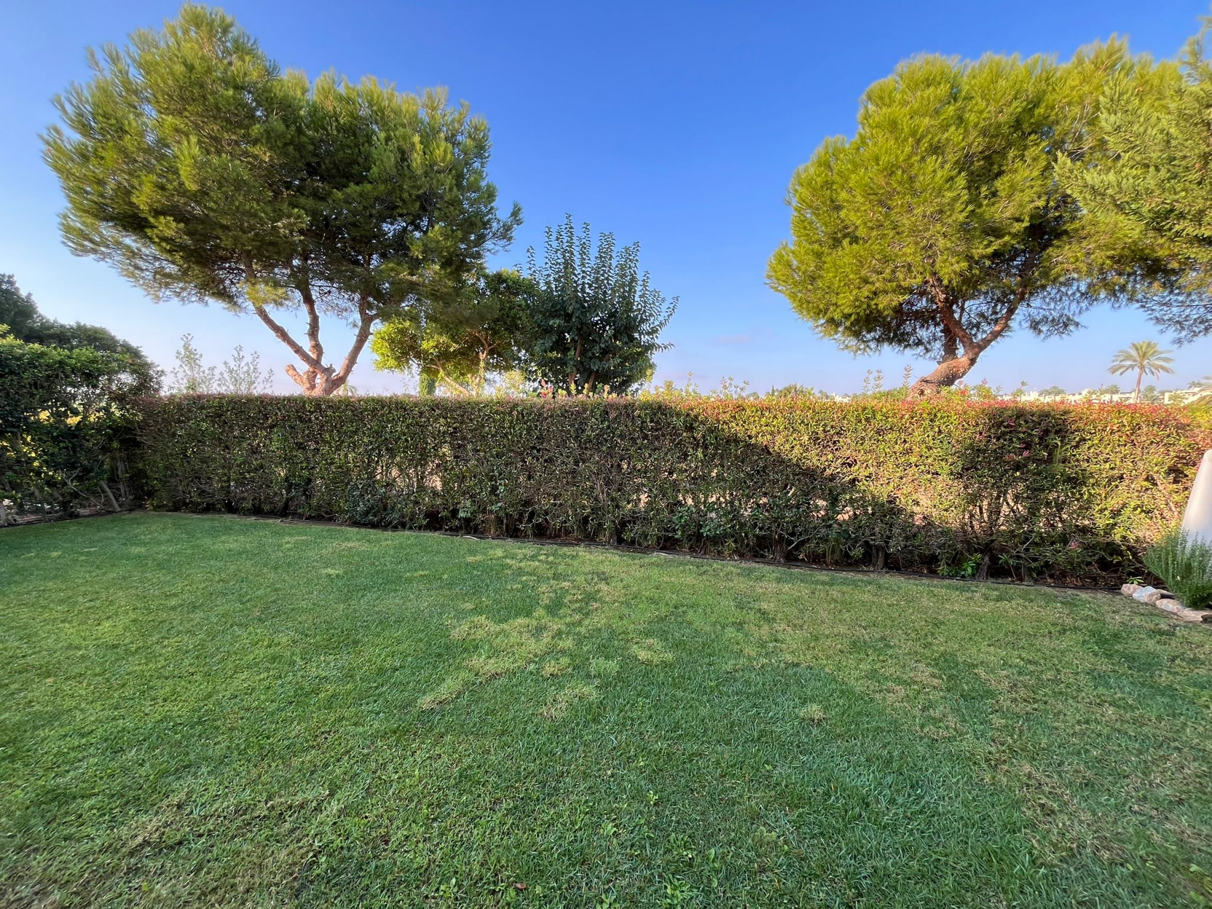 Pool area in villa for sale in Los Alcazares
