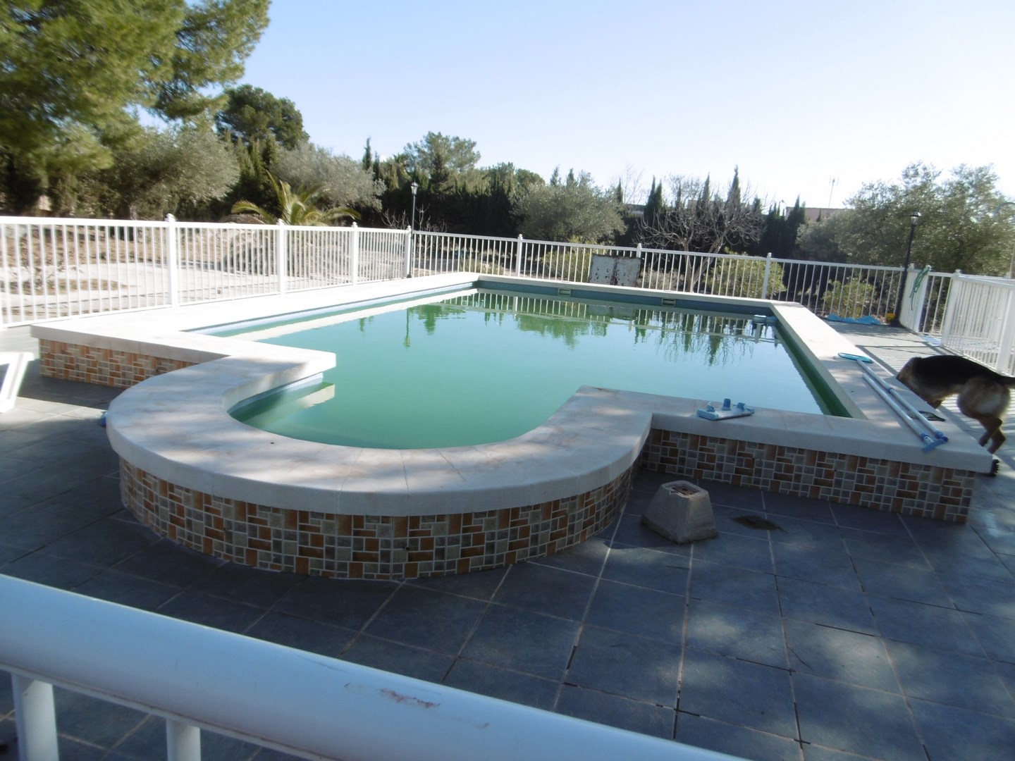 Pool area in villa for sale in Yecla