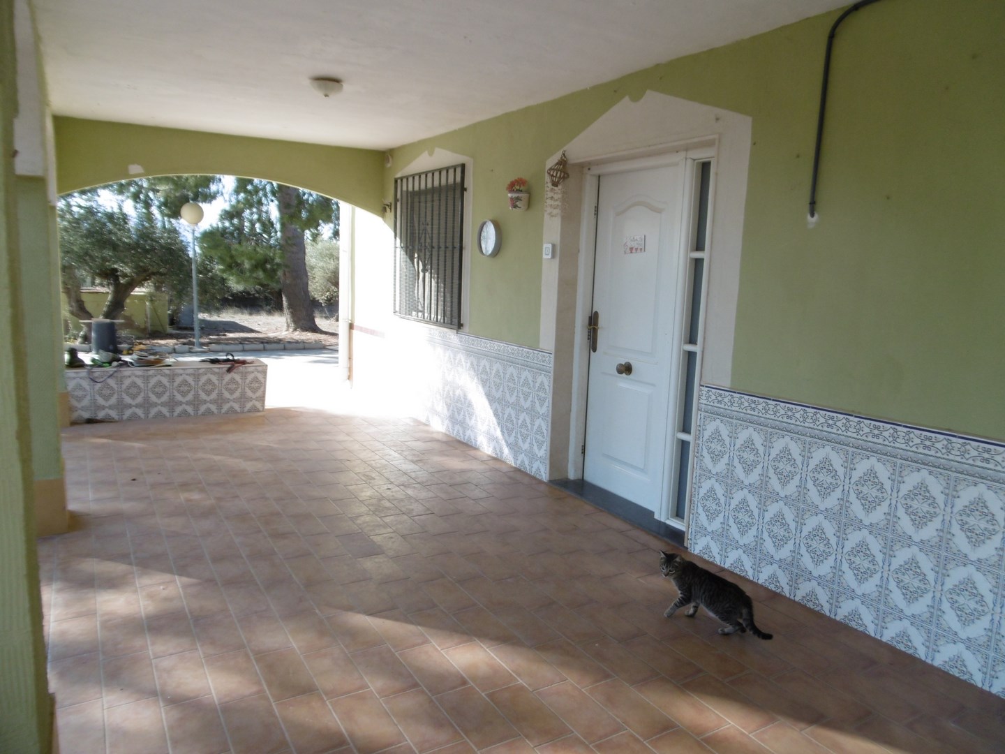Garden in villa for sale in Yecla