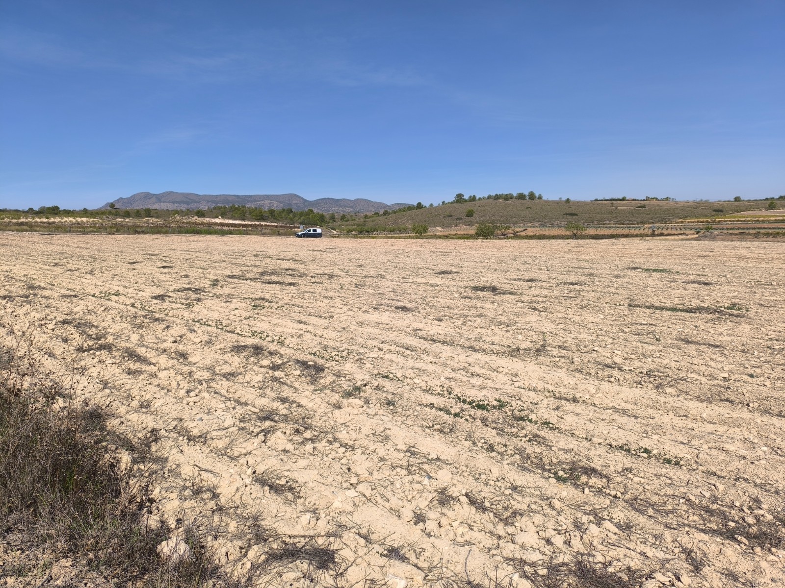 Terrace in land for sale in Pinoso