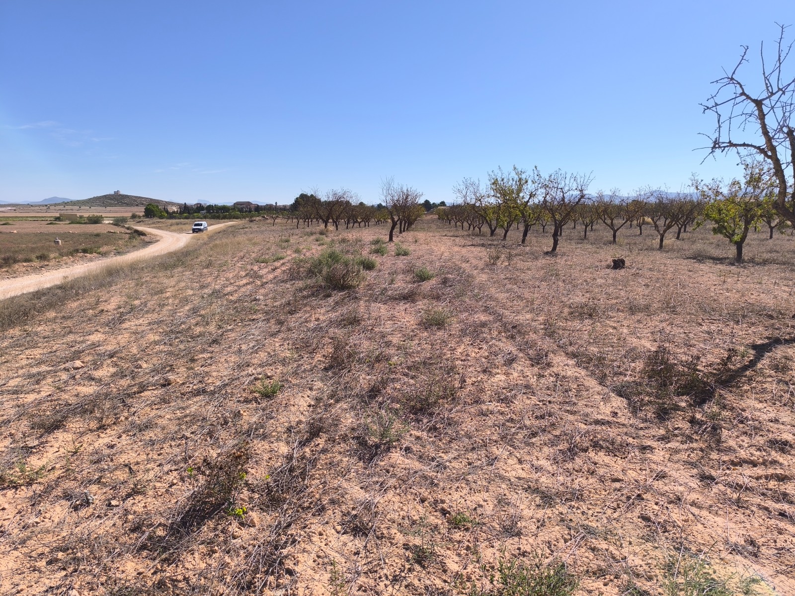 Dining area in land for sale in Pinoso