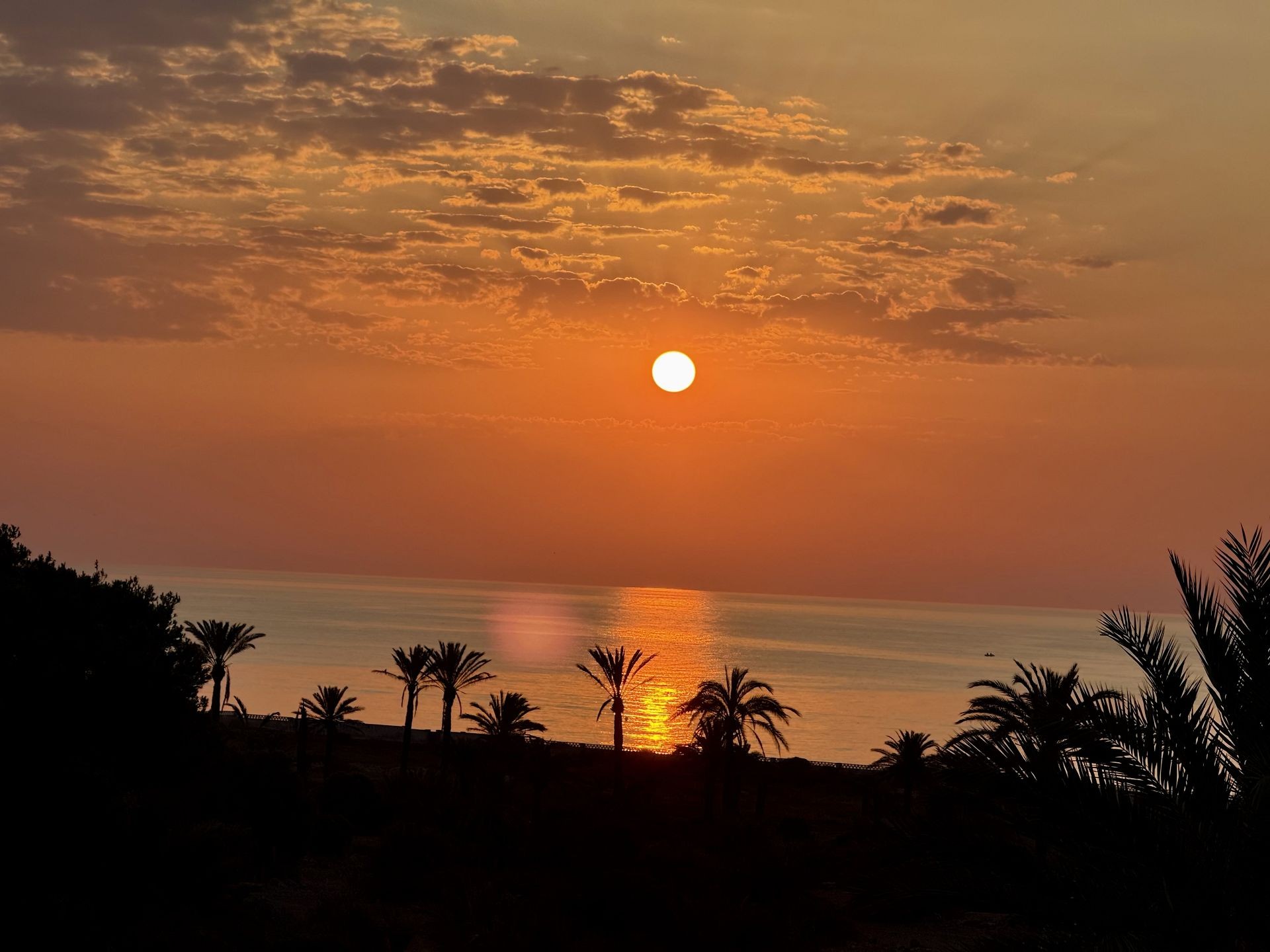 Terrace in penthouse for sale in San Miguel de Salinas