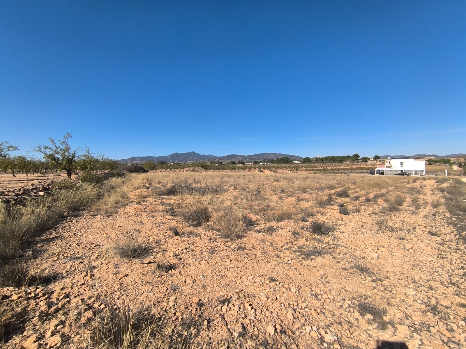 Terrace in land for sale in Pinoso