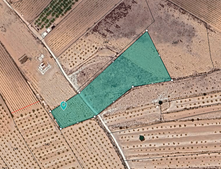 Garden in land for sale in Pinoso