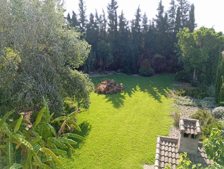 Living room in villa for sale in Daya Nueva
