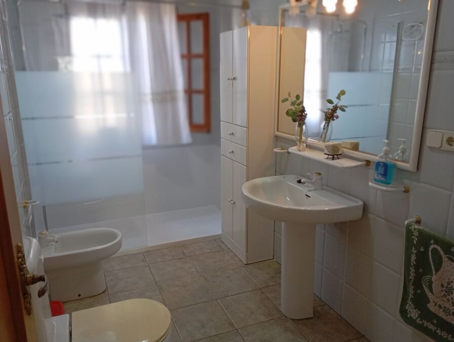 Garden in villa for sale in Daya Nueva