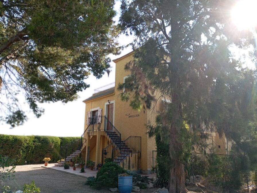 Exterior view in villa for sale in Daya Nueva