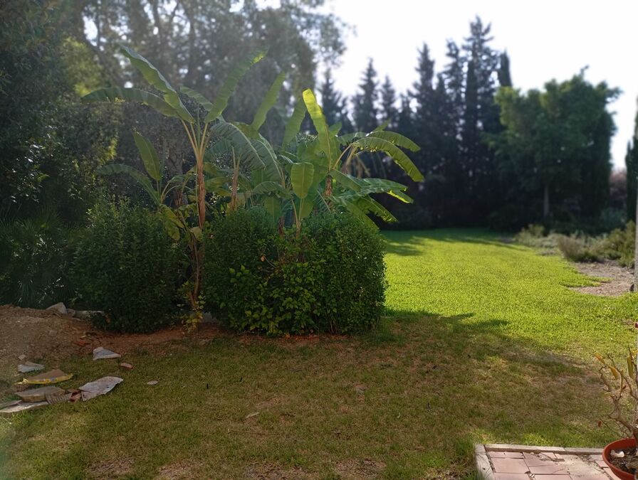 Pool area in villa for sale in Daya Nueva
