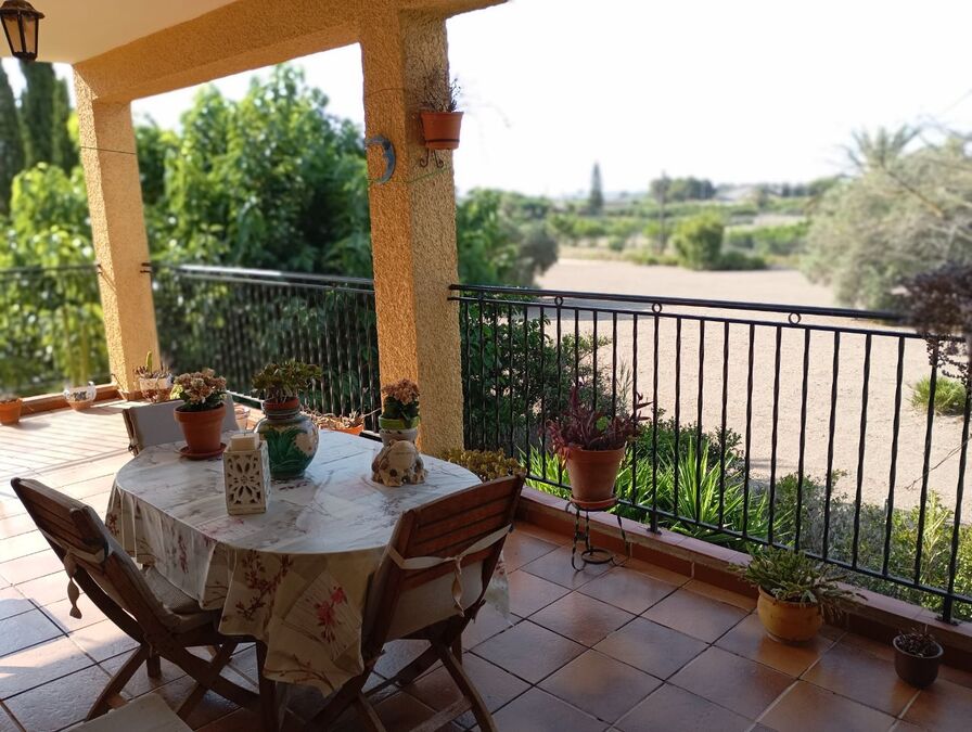 Garden in villa for sale in Daya Nueva