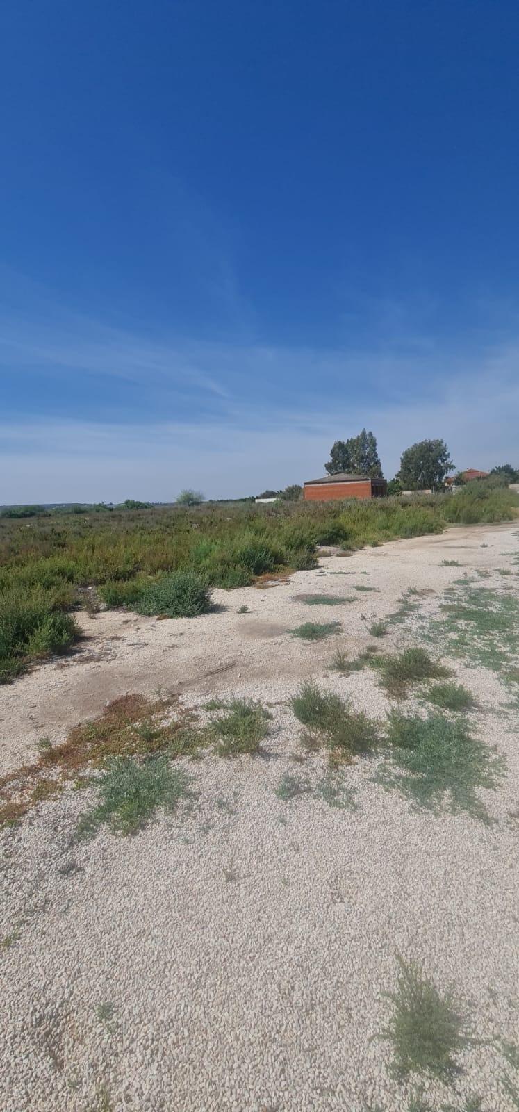Kitchen in land for sale in La Hoya