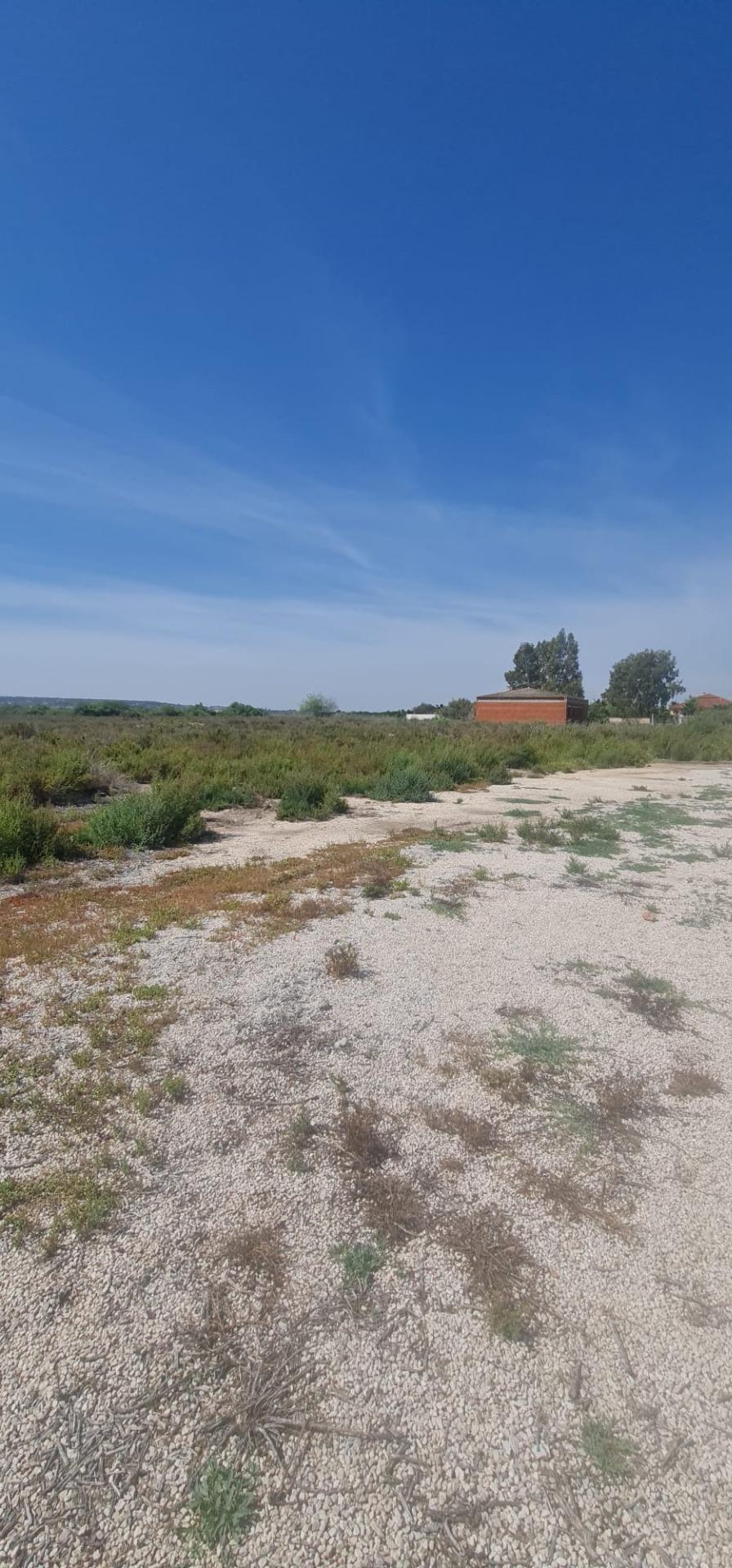 PLOT OF 17000M2 between the Marina and La Hoya PROPERTY: For sale a plot of 17000m2 between La Marin