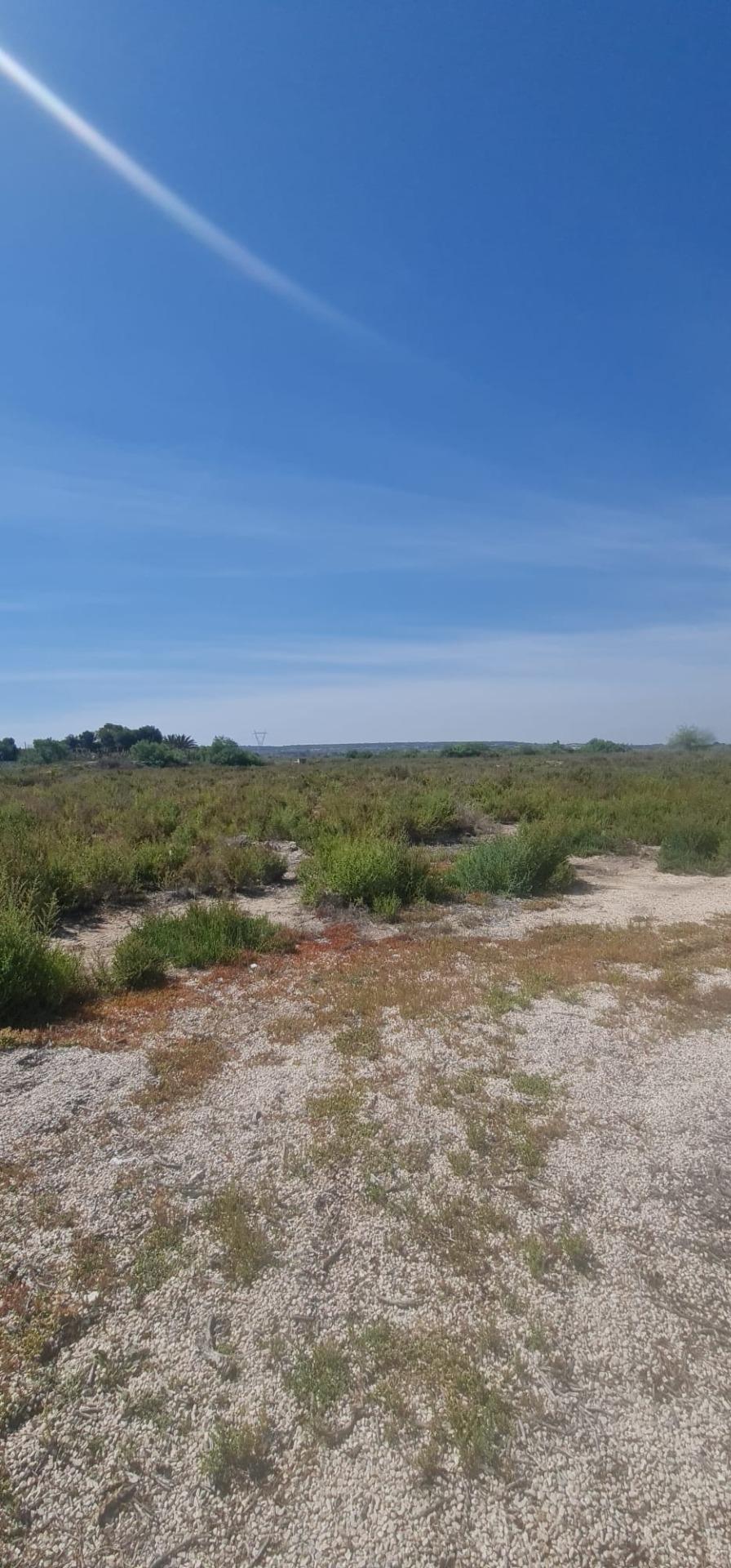 Pool area in land for sale in La Hoya