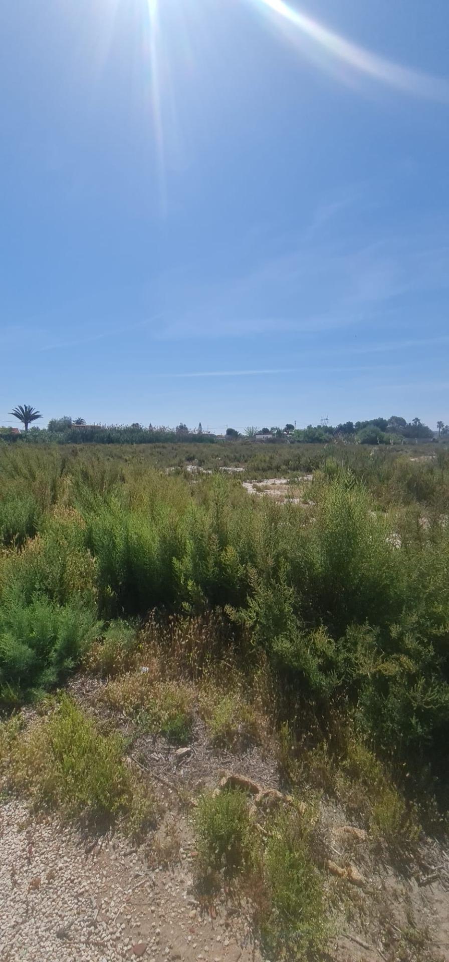 Bedroom in land for sale in La Hoya