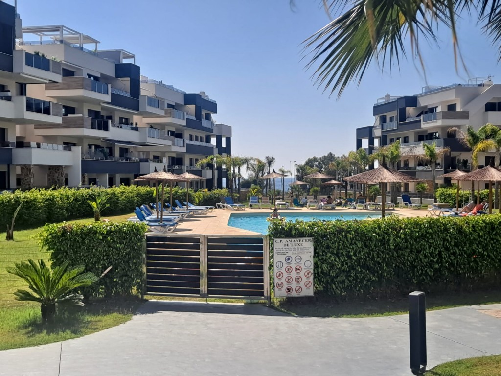 Pool area in apartment for sale in Playa Flamenca