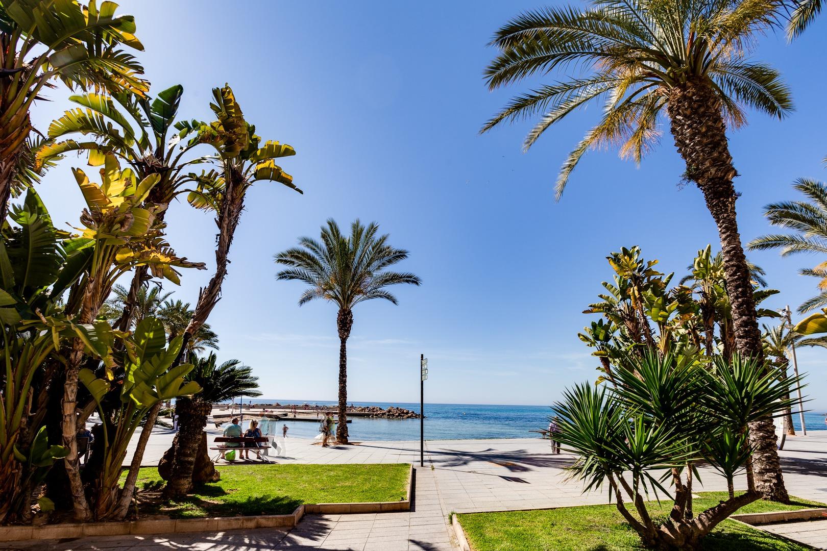Garden in penthouse for sale in Torrevieja