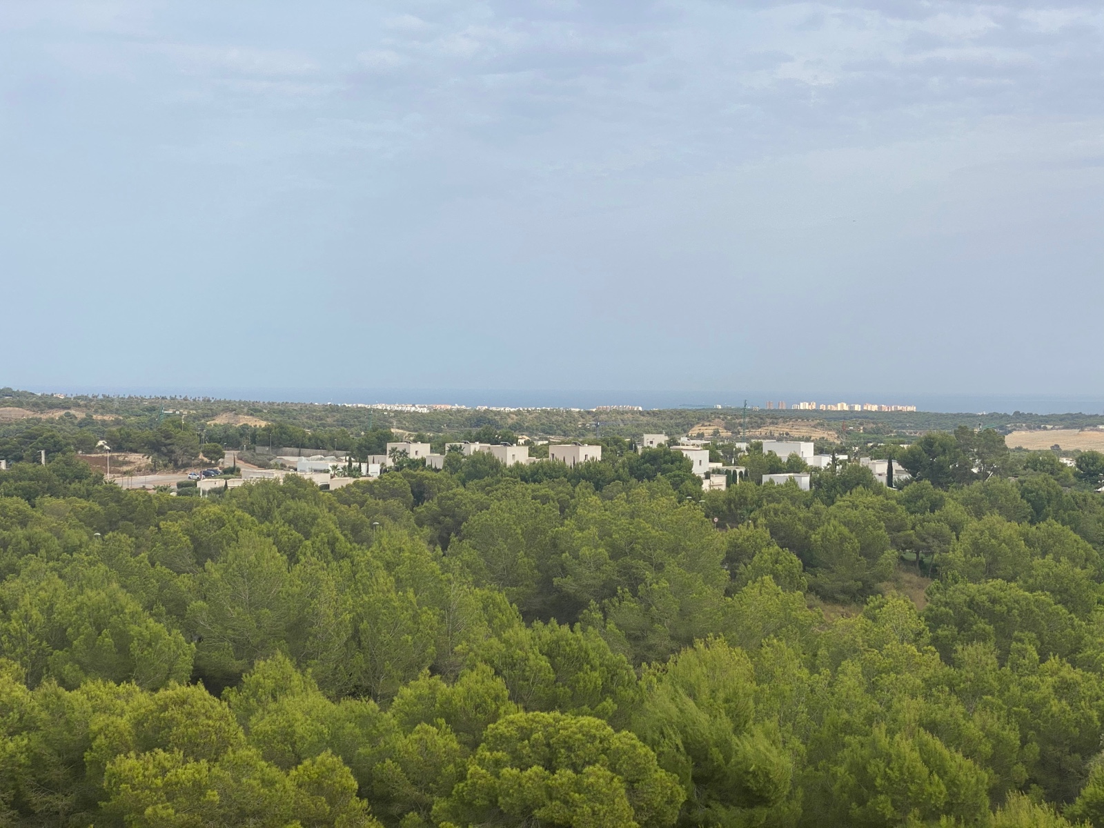 Living room in apartment for sale in Las Colinas Golf