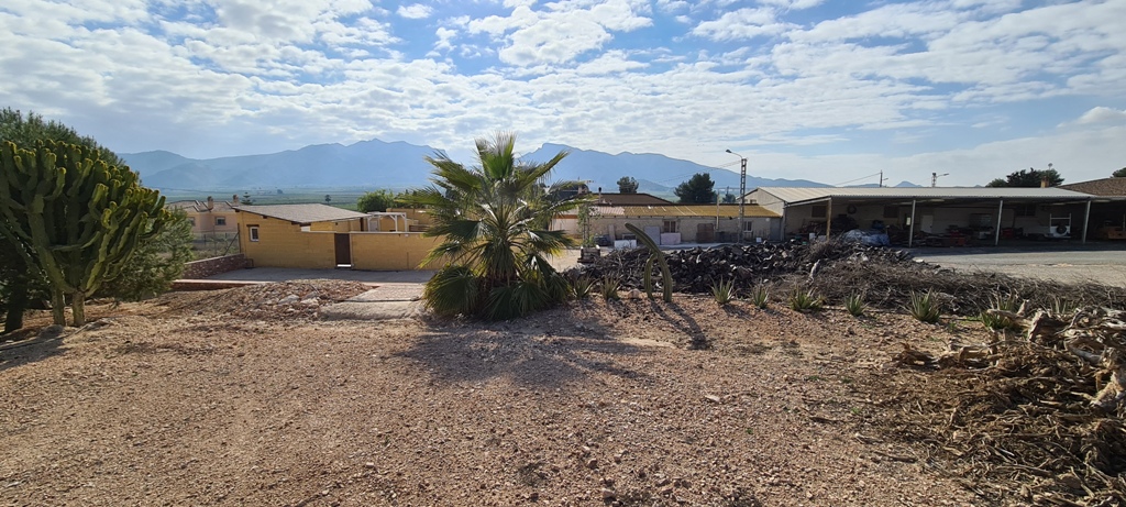 Exterior view in villa for sale in Orihuela