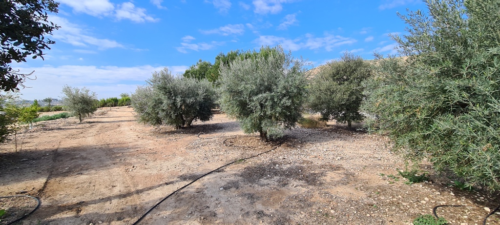 Kitchen in villa for sale in Orihuela