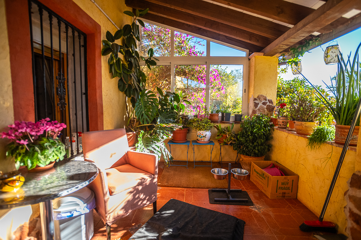 Garden in commercial for sale in Hondón de las Nieves