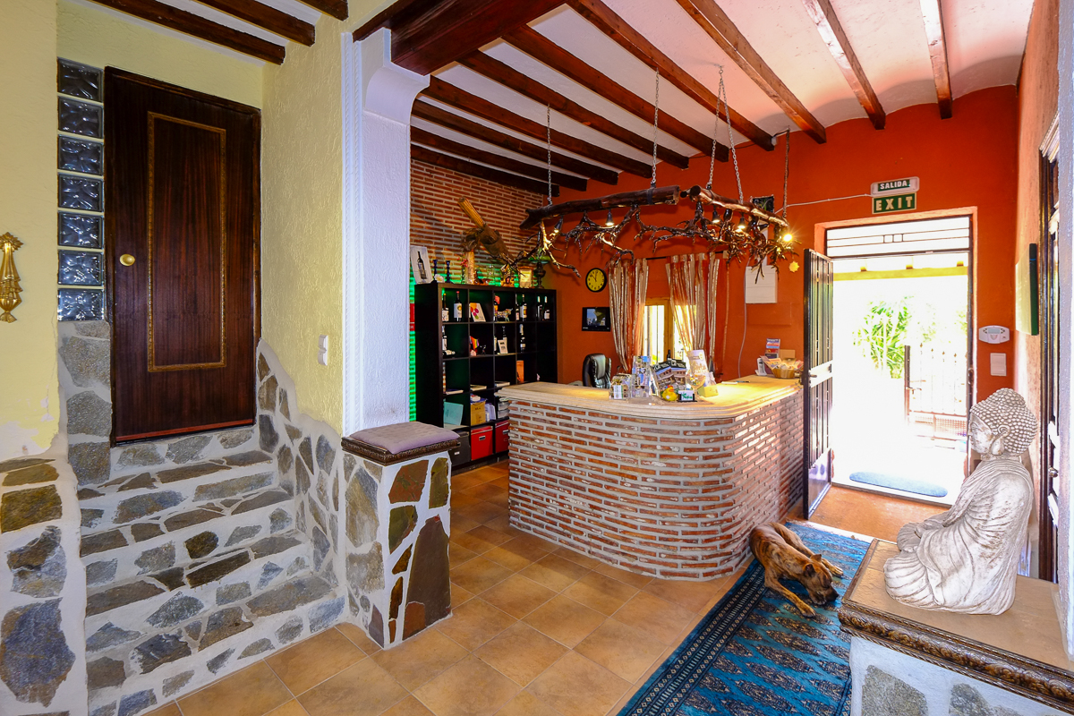 Dining area in commercial for sale in Hondón de las Nieves