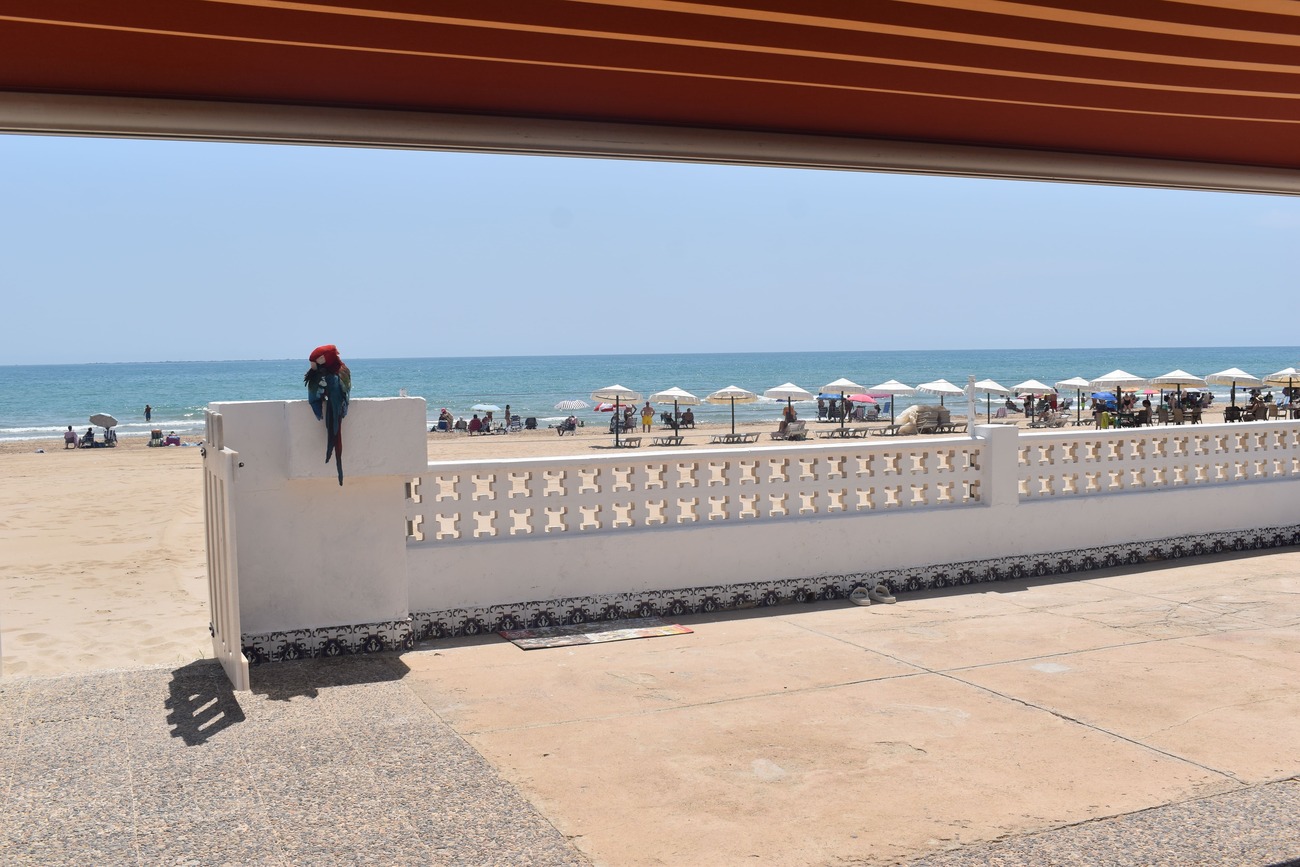 Terrace in villa for sale in Guardamar del Segura