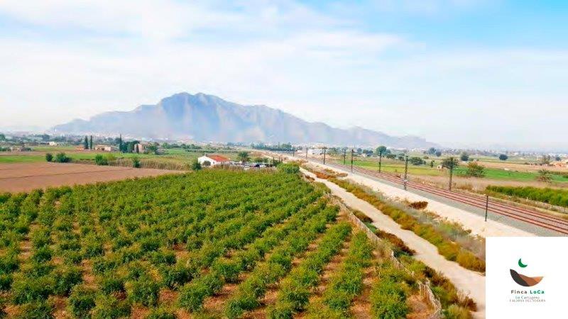 Master bedroom in finca for sale in Callosa de Segura