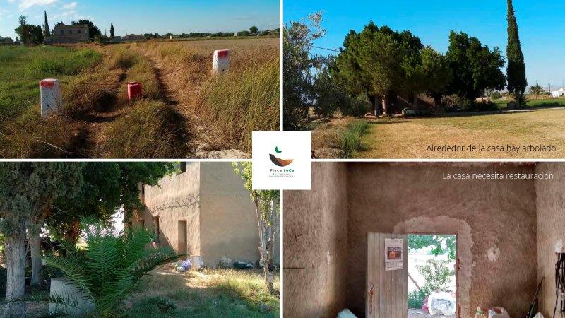 Terrace in finca for sale in Callosa de Segura