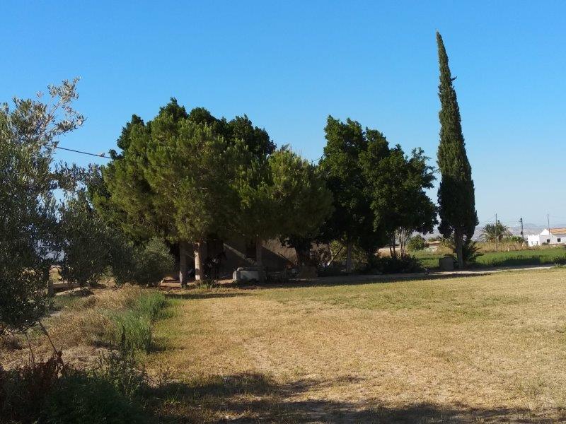 Terrace in finca for sale in Callosa de Segura