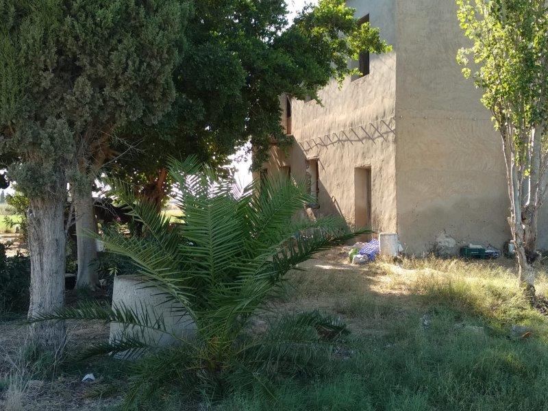 Pool area in finca for sale in Callosa de Segura