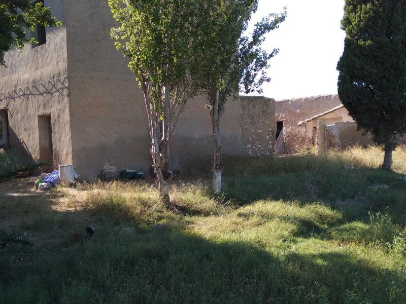Garden in finca for sale in Callosa de Segura