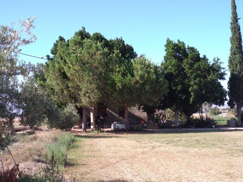 Dining area in finca for sale in Callosa de Segura