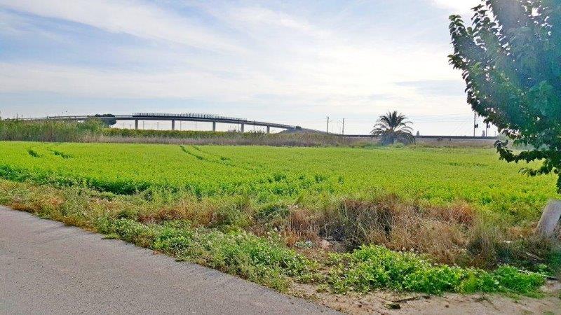 Pool area in finca for sale in Callosa de Segura
