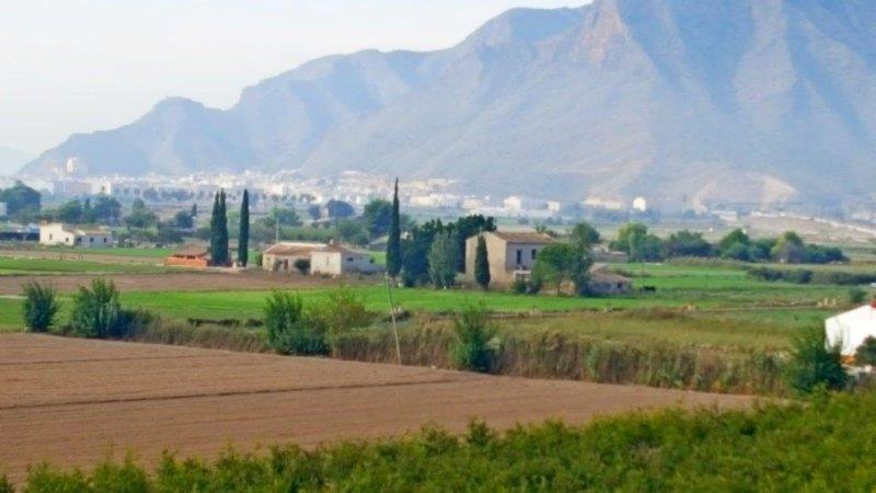 Garden in finca for sale in Callosa de Segura