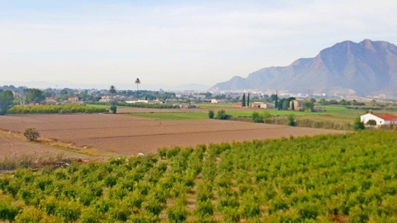 Exterior view in finca for sale in Callosa de Segura