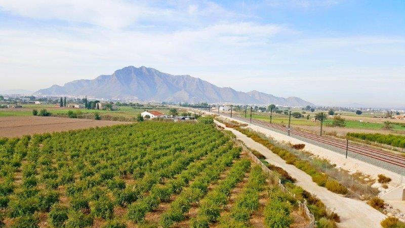 Kitchen in finca for sale in Callosa de Segura