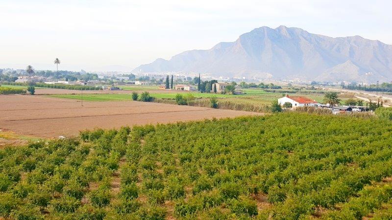 Master bedroom in finca for sale in Callosa de Segura
