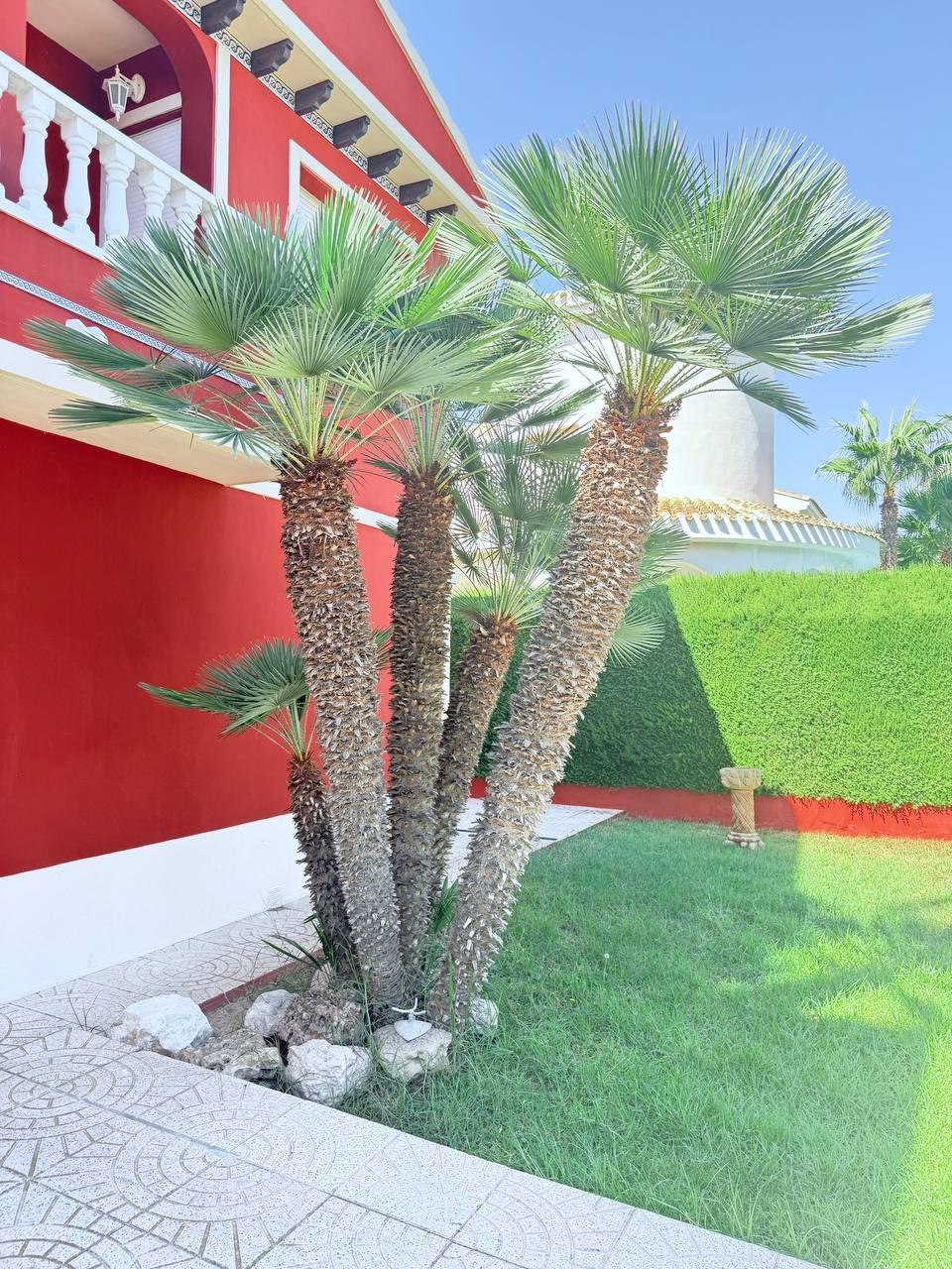 Exterior view in villa for sale in Campoamor