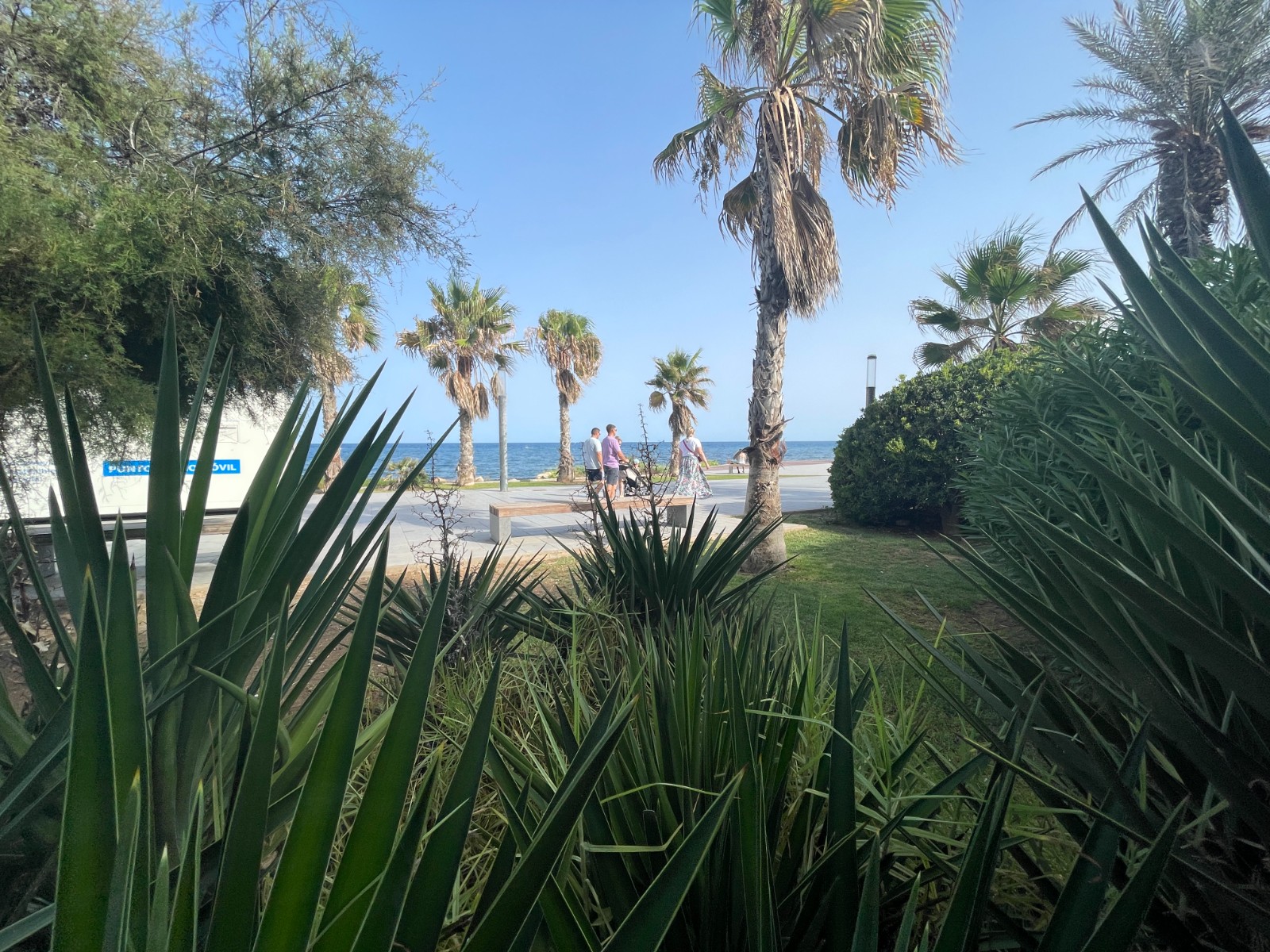 RESTAURANT/BAR FOR SALE BY THE SEA IN TORREVIEJA Prime location: Cala del PalangreHave you ever drea