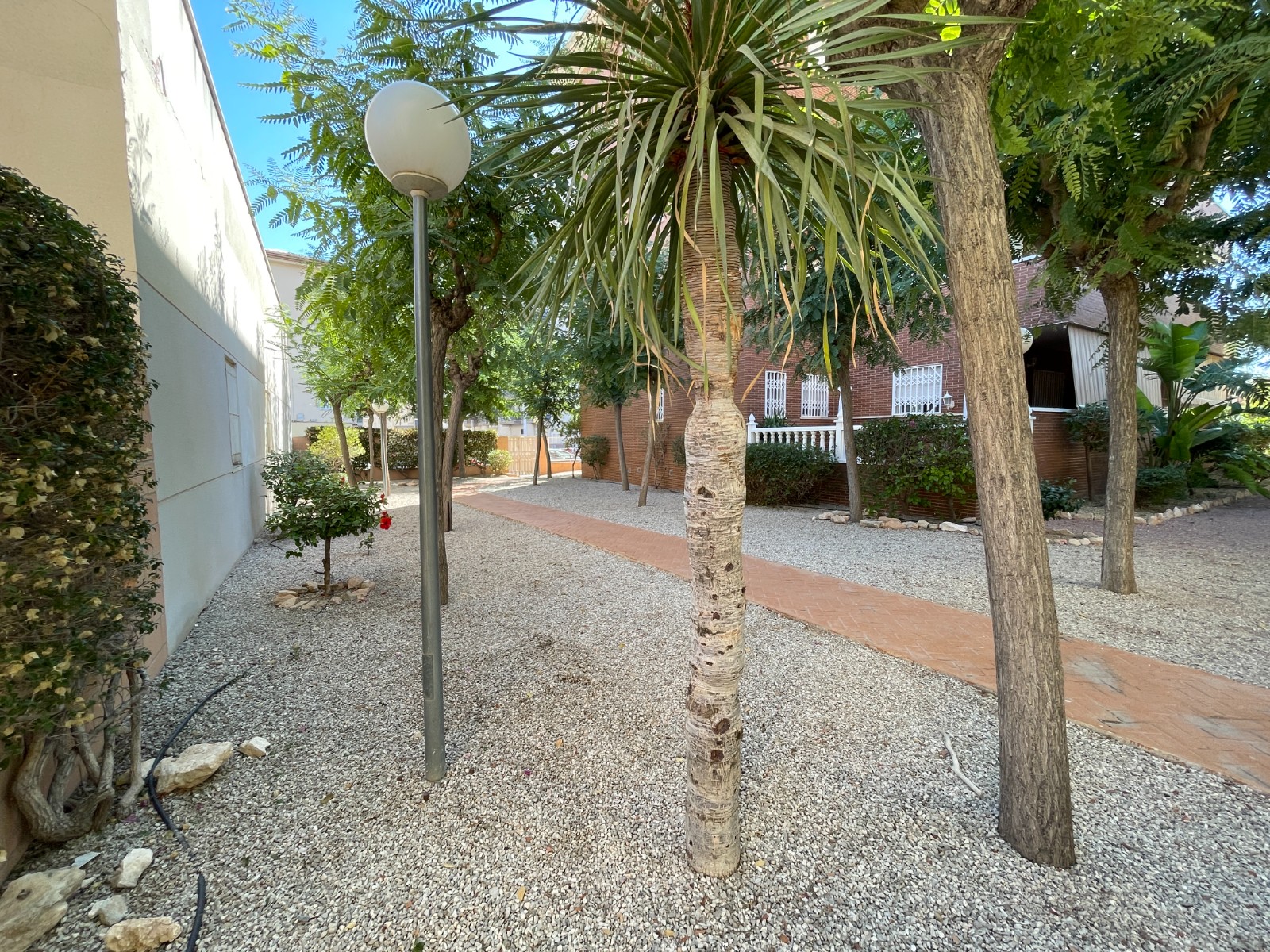 Exterior view in terraced for sale in Elche