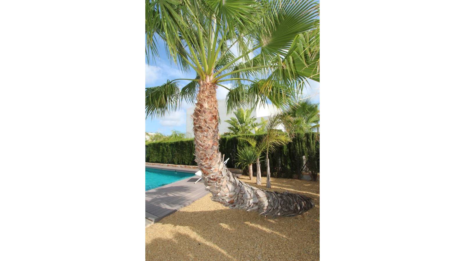 Garden in villa for sale in Rojales
