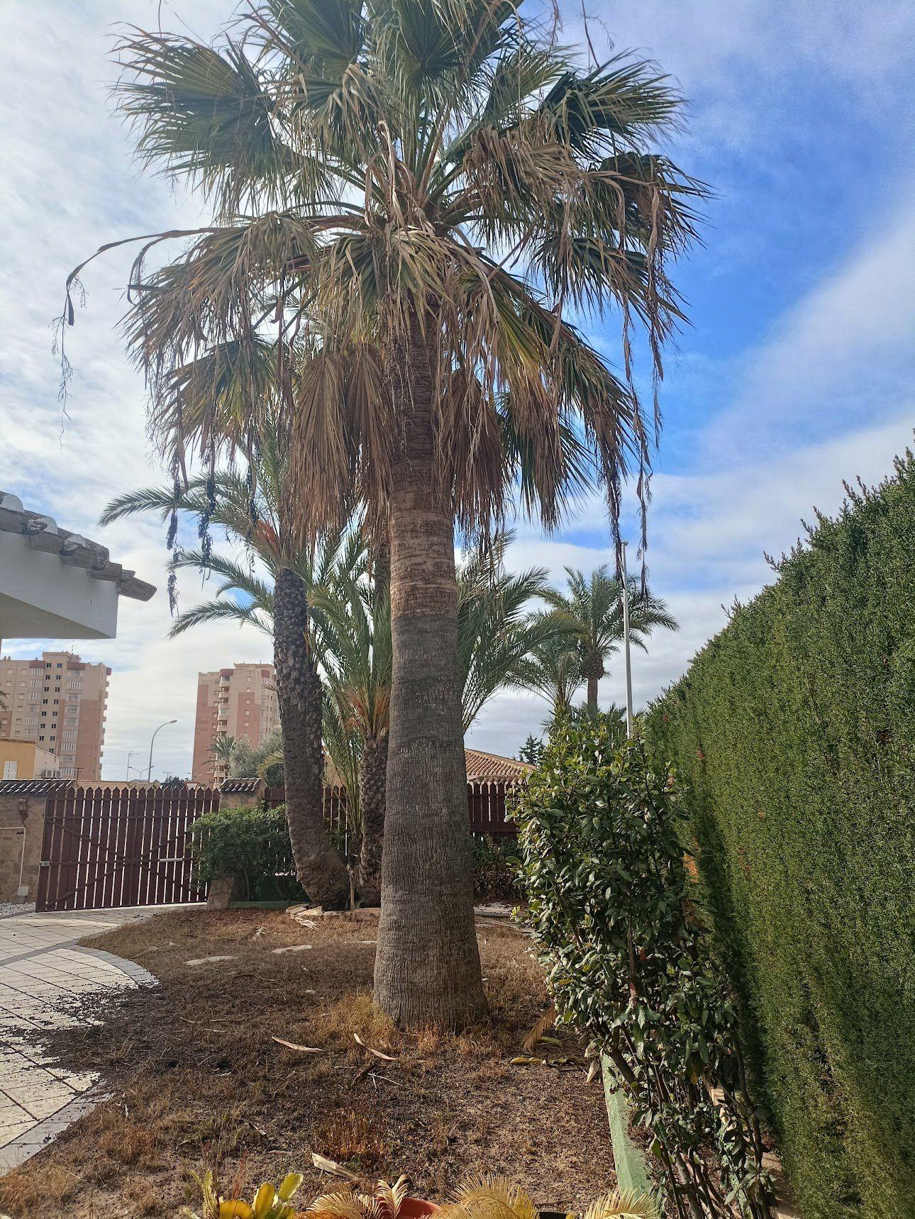 Terrace in villa for sale in Orihuela Costa