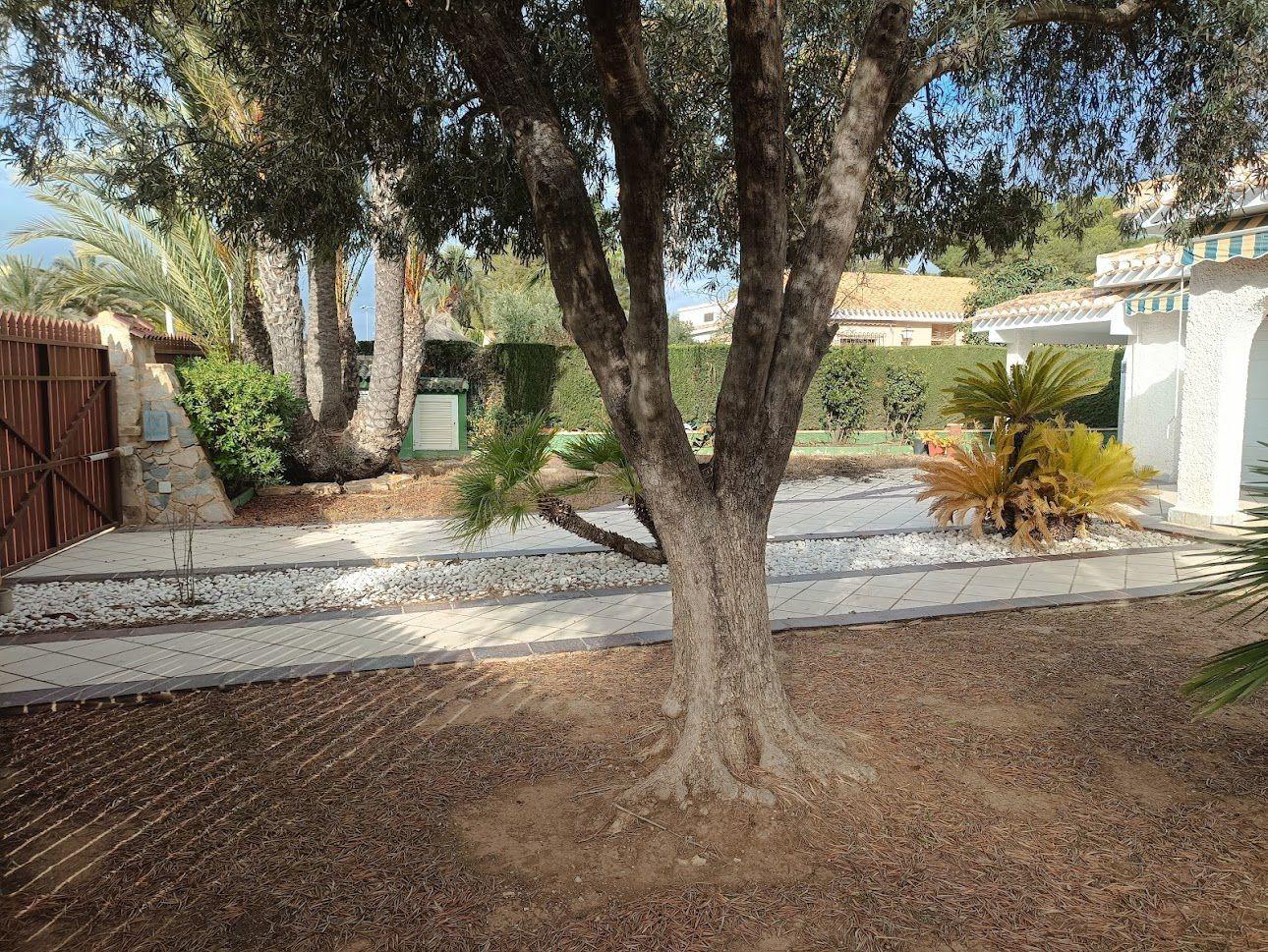 Pool area in villa for sale in Orihuela Costa