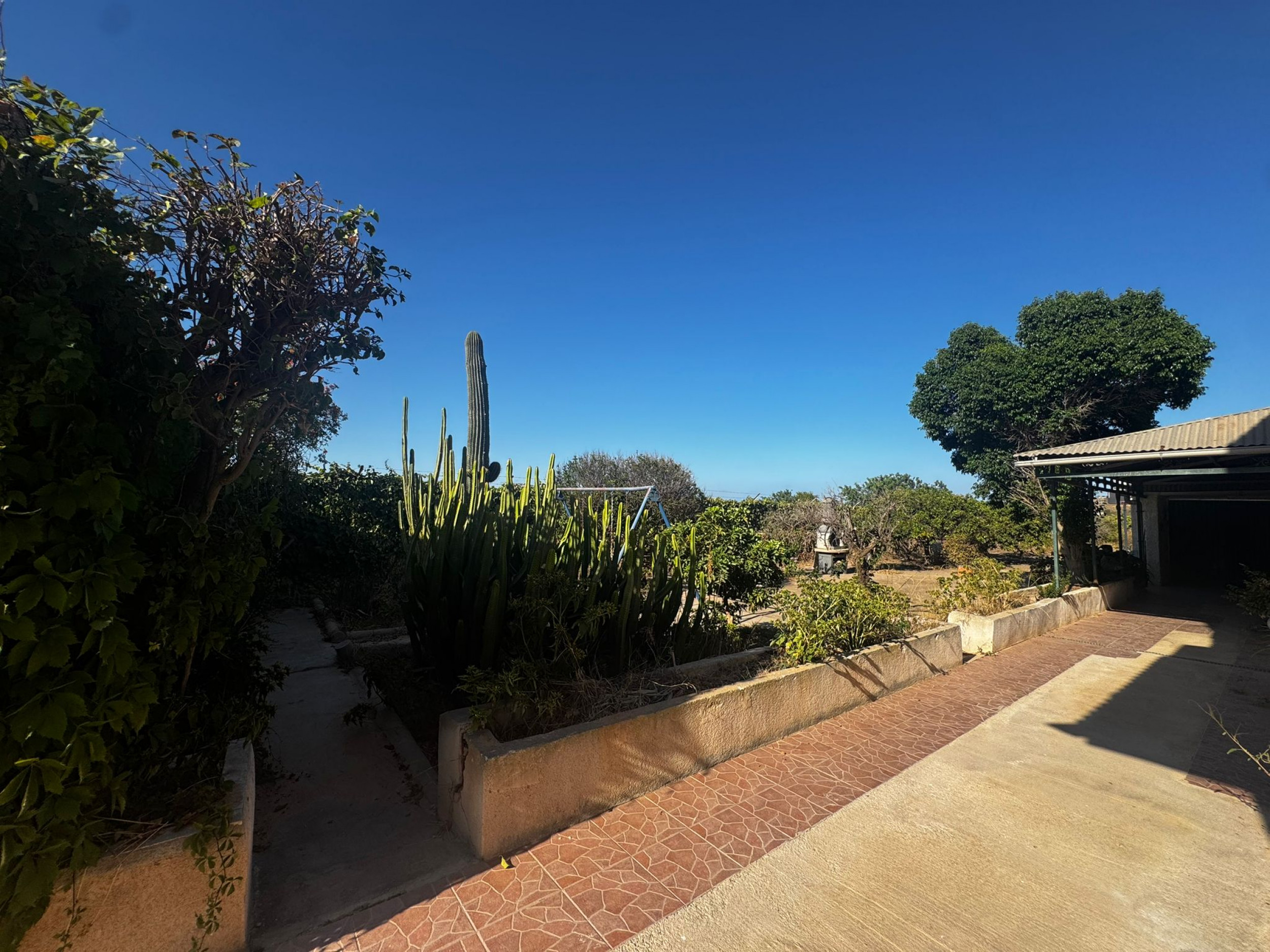 Garden in villa for sale in Cartagena