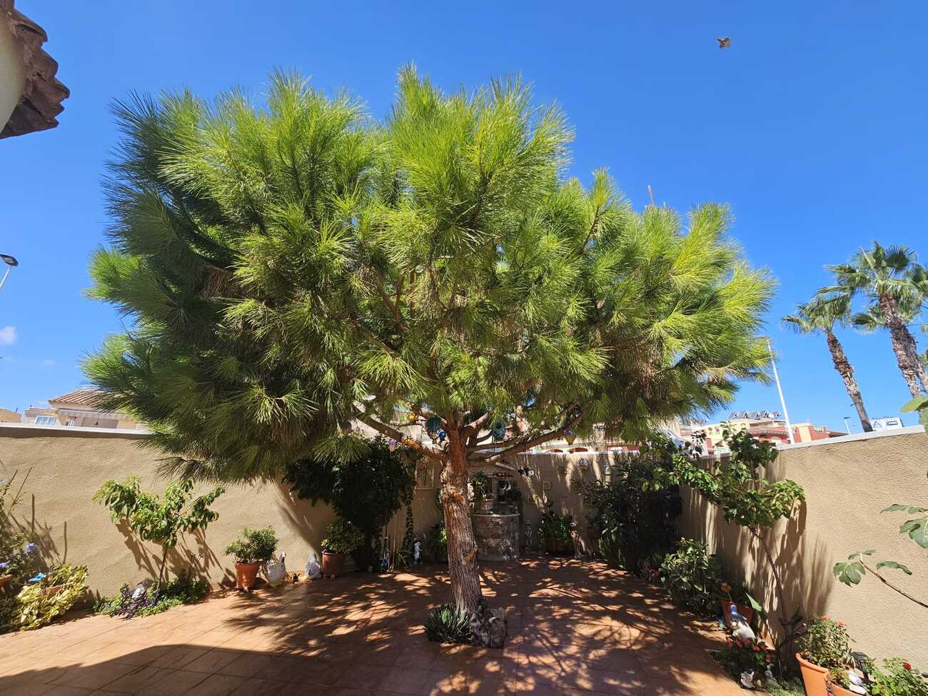 Bathroom in villa for sale in Torrevieja