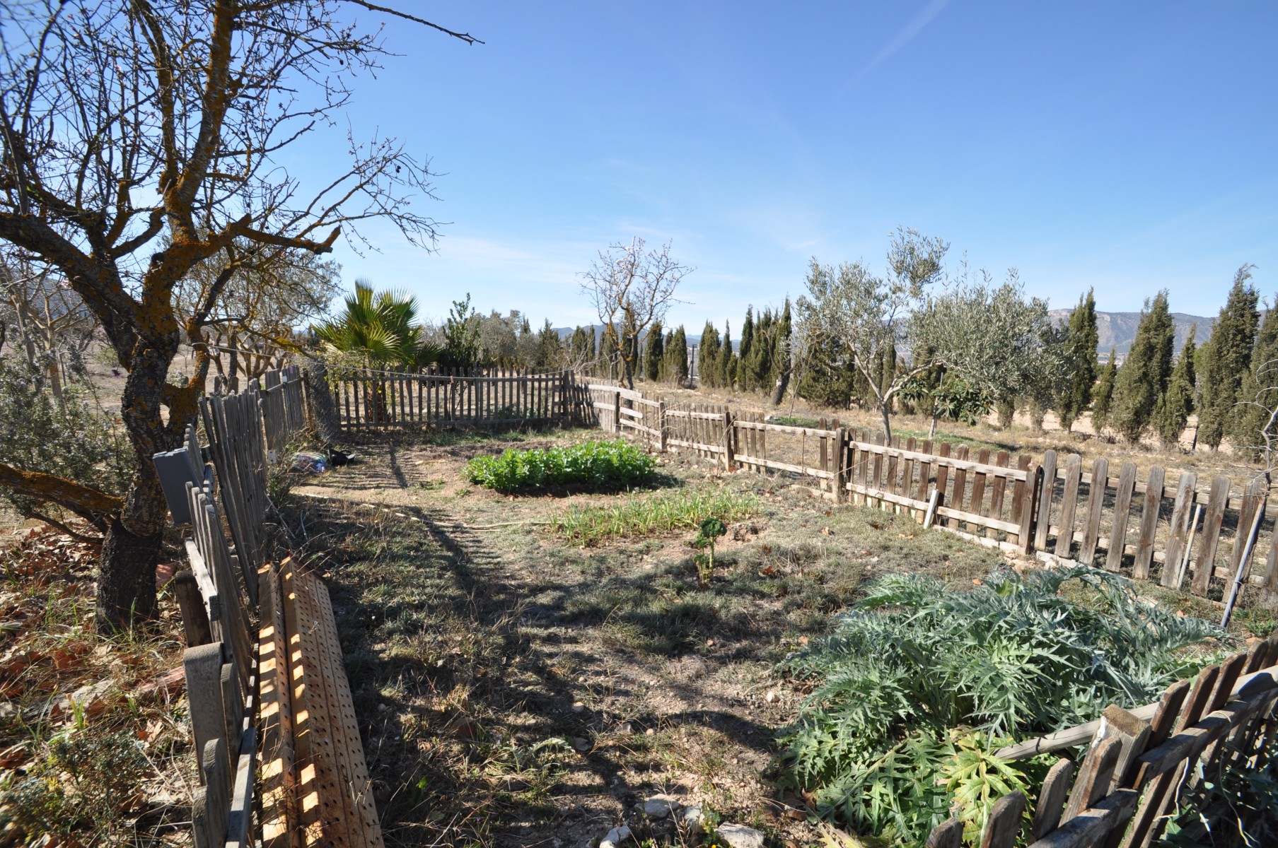 Terrace in villa for sale in Salinas