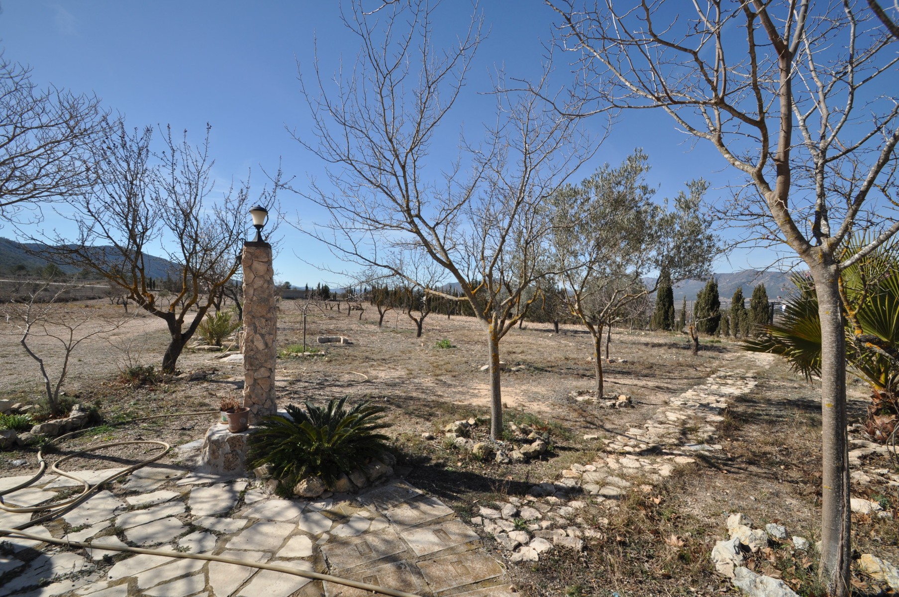 Pool area in villa for sale in Salinas