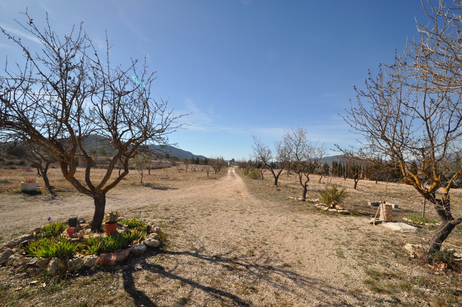 Garden in villa for sale in Salinas