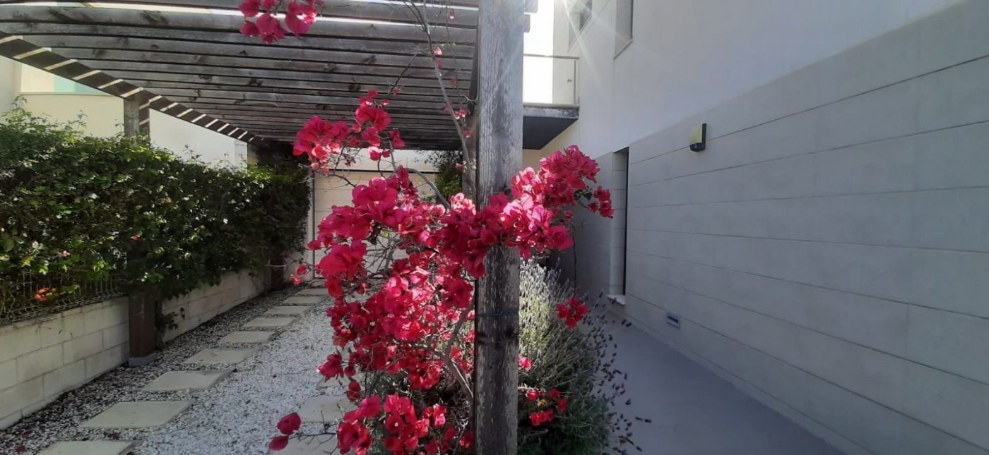 Pool area in villa for sale in San Javier